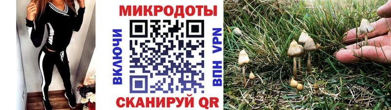 Галлюциногенные грибы Magic Shrooms где можно купить Тамбов